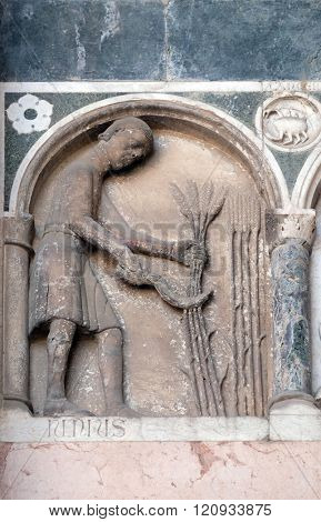 LUCCA, ITALY - JUNE 06, 2015: June, detail of the bas-relief representing the Labor of the months of the year, portal of the Cathedral of St Martin in Lucca, Italy, on June 06, 2015