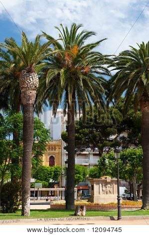 Palm Trees In Spanish Village
