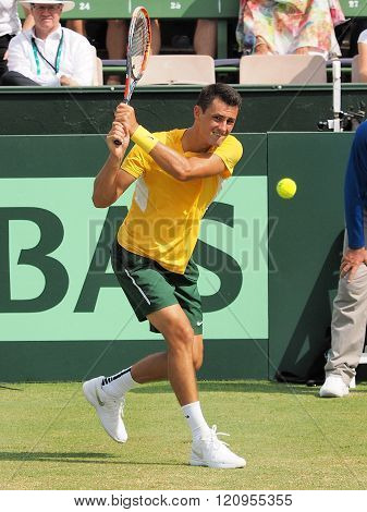 Bernard Tomic During Davis Cup Single
