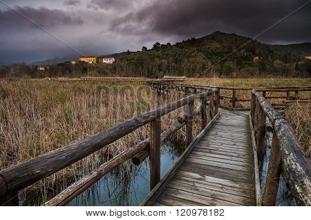 Italy, Tuscany, Lucca, Massaciuccoli Lake