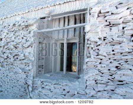 kalten winter