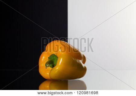 Single Yellow Pepper  Isolated On Black And White Background