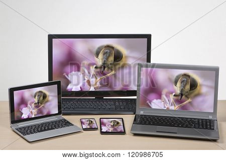 Electronic Devices Showing Honeybee On Flower