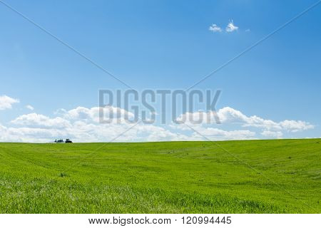 Agricultural tractor working in a green wheat field at noon