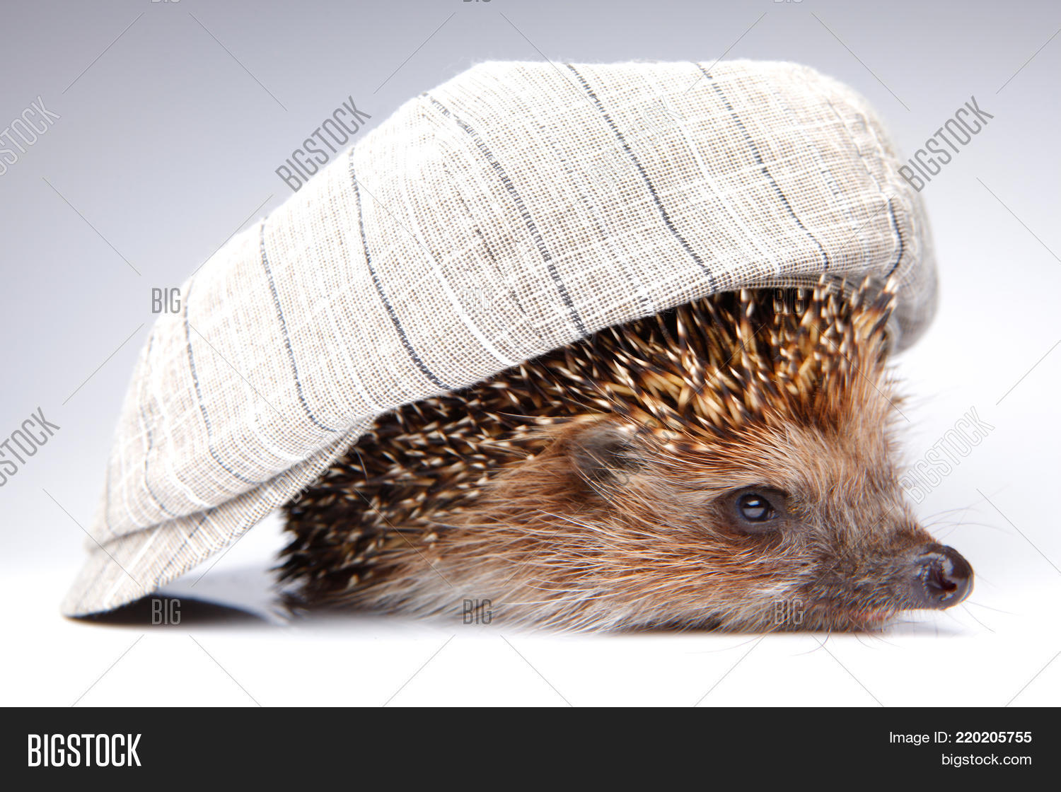 Image Preview