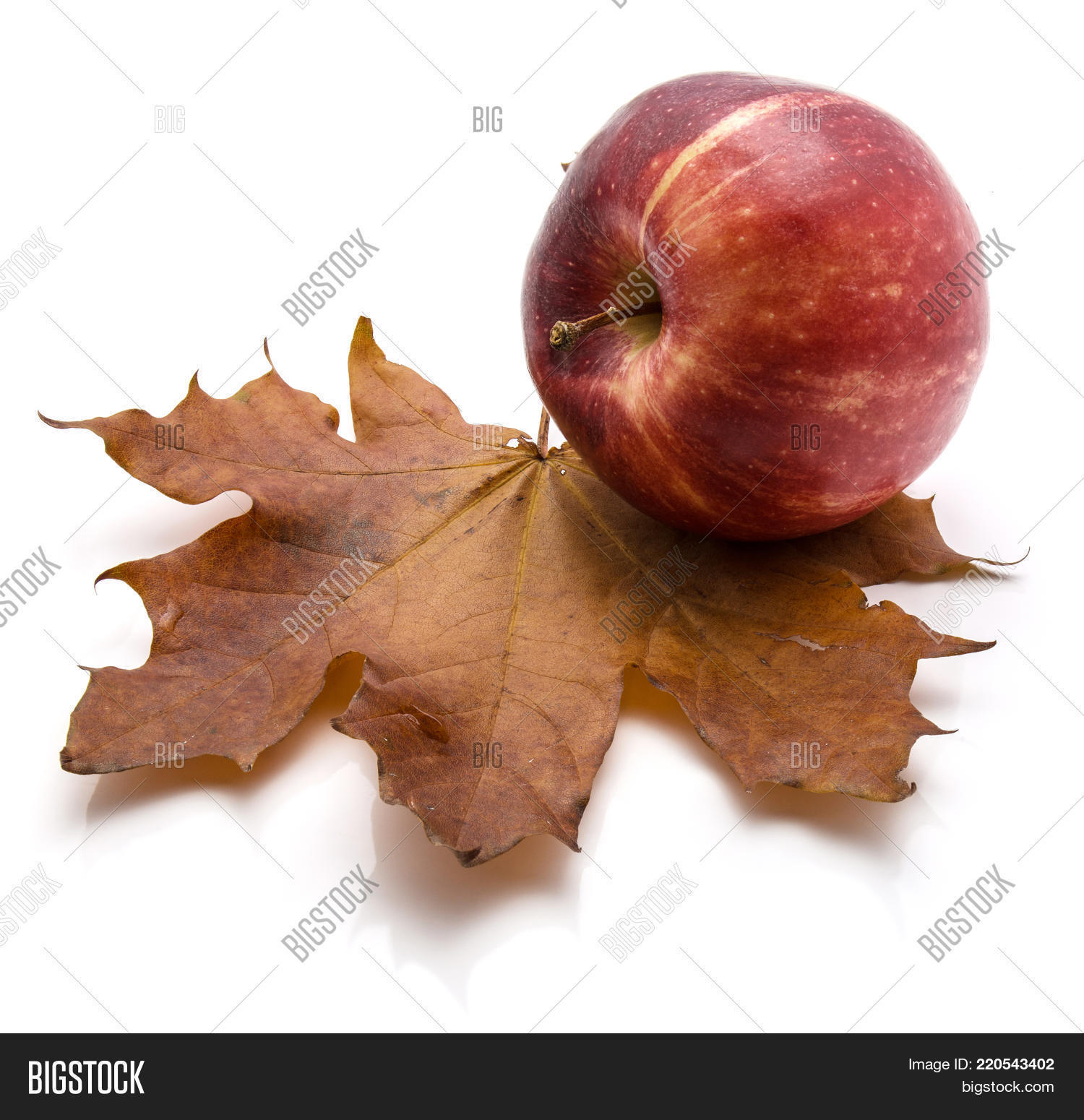 Image Preview
