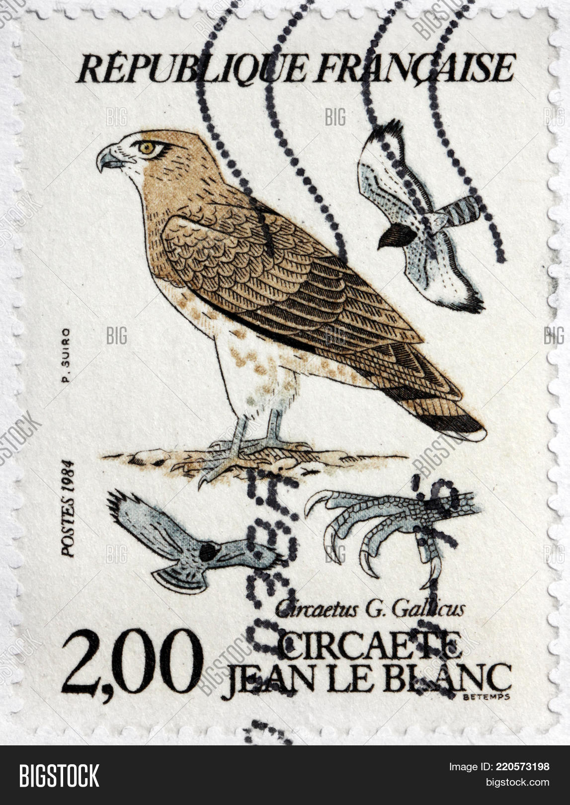 LUGA RUSSIA MAY 14 Image Photo (Free Trial) Bigstock