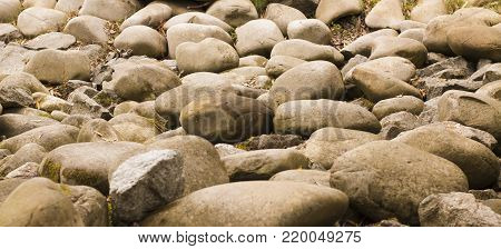 Pebbles as a background stony texture. Large river stones. Dry coastal gray stones background