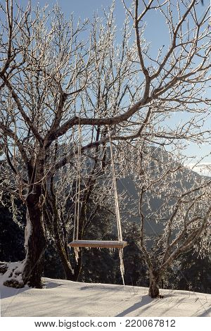 Winter landscape. Homemade swing hanging on an icy tree in the winter at sunset of the day.