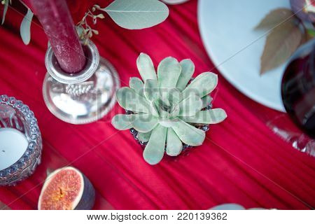 Small succulent alongside a candle on a formal table setting viewed from above on a red tablecloth