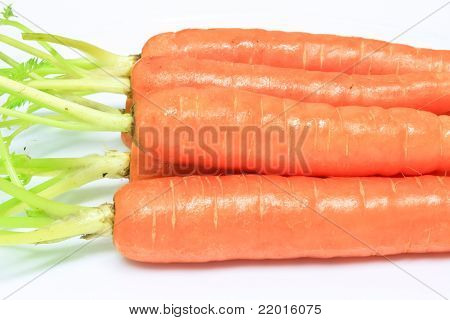 Baby carota