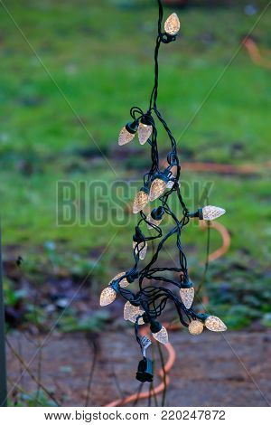 christmas lights on a string hang outside in the evening with copy space.