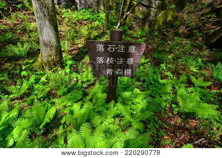 Aomori, Japan - May 16, 2017. Signboard at Oirase Gorge in Aomori, Japan. Oirase Gorge is a well-known picturesque locale, whether it is in the spring with fresh green leaves.