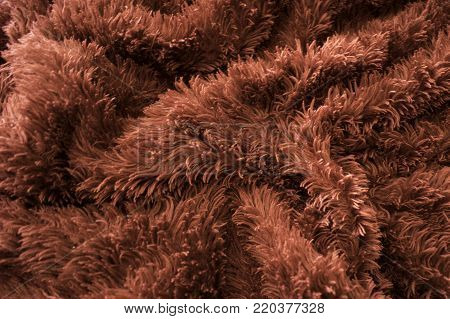 Crumpled fur like red blanket creates interesting  texture and pattern,