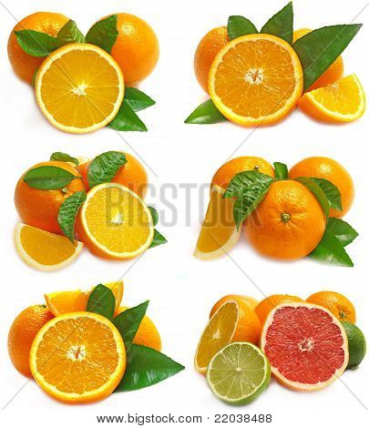 Frutas laranja