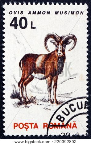 ROMANIA - CIRCA 1993: a stamp printed in Romania shows mouflon, ovis ammon musimon, wild sheep, circa 1966