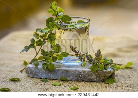 Water Of Holy Basil, Tulsi Or Ocimum Tenuiflorum In A Transparent Glass.