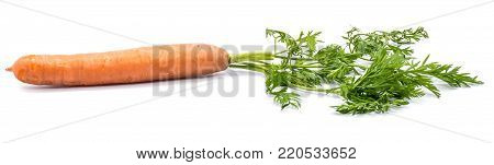 One fresh long orange carrot with green leaves isolated on white background