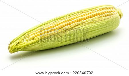 Ear of fresh sweet corn isolated on white background
