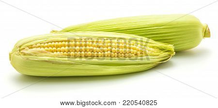 Two ears of fresh sweet corn isolated on white background