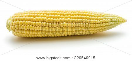 One open sweet corn isolated on white background