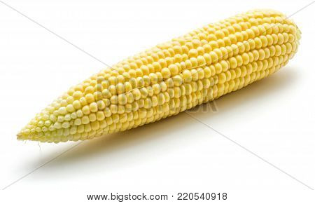 One open sweet corn isolated on white background