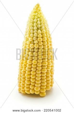 One half of broken corn on the cob isolated on white background