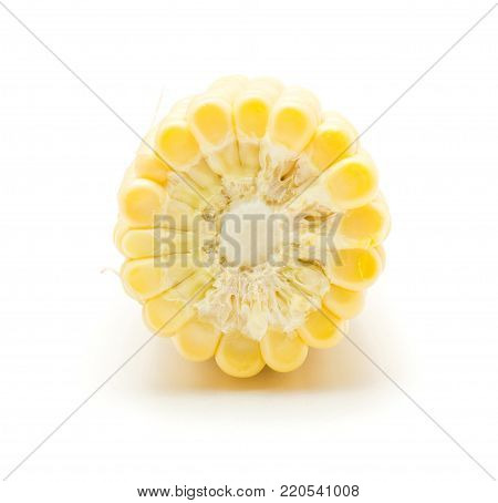 Sweet corn isolated on white background one cut piece in cross section