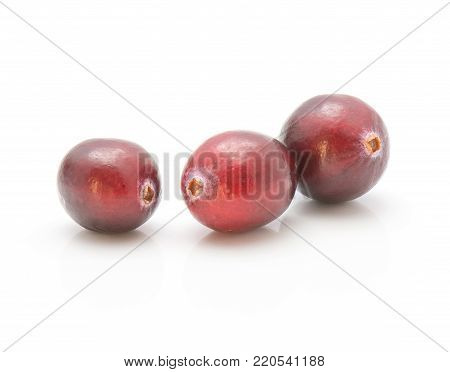 Cranberries close-up isolated on white background three whole