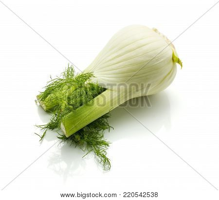 Florence fennel isolated on white background fresh