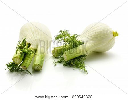 Fennel bulb isolated
Florence fennel isolated on white background pair of fresh bulbs