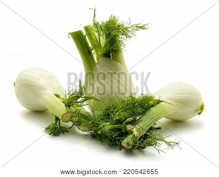 Three florence fennel isolated on white background