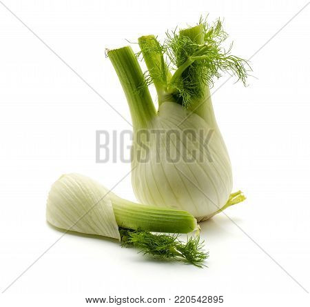 Florence fennel isolated on white background fresh one bulb one quarter