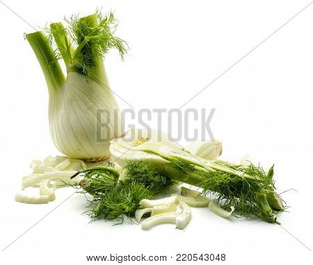Florence fennel isolated on white background one bulb one half fresh branch and blanched pieces