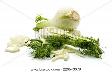 Florence fennel isolated on white background fresh composition