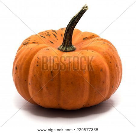 One whole orange pumpkin isolated on white background