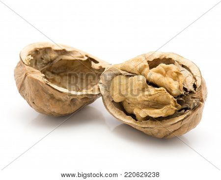 One shelled walnut with separated hollow half isolated on white background