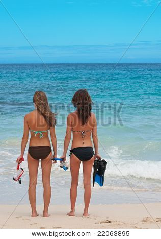 Snorkelers