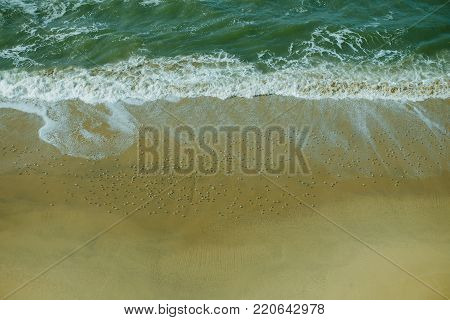 Aerial View of Group of Small Seabirds, on Half Moon Bay Beach, California