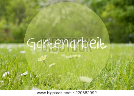 German Text Gartenarbeit Means Gardening. Spring Or Summer Gras Meadow With Daisy Flowers. Blurry Trees As Background.