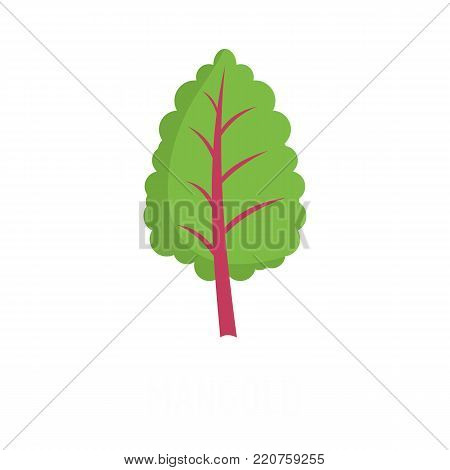 Mangold icon. Flat illustration of mangold vector icon isolated on white background