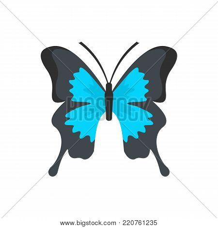 Mahaon icon. Flat illustration of mahaon vector icon isolated on white background