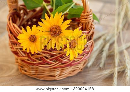 Whicker Basket With Flowers And Dry Spikelets Of Wheat On Wooden Table.