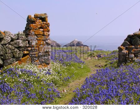 Hotel Blue Bell ściany