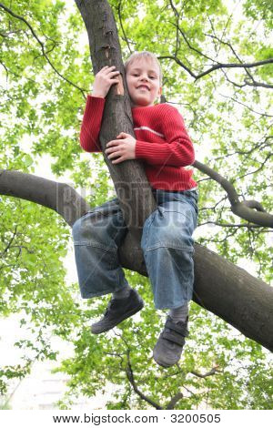 Boy Sits On Branch