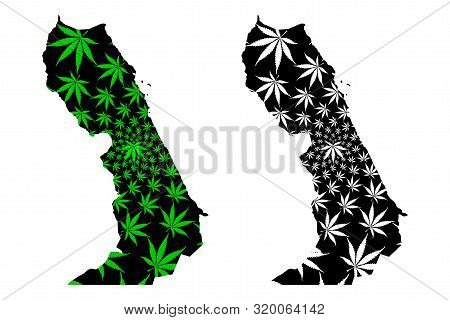 Red Sea Governorate (governorates Of Egypt, Arab Republic Of Egypt) Map Is Designed Cannabis Leaf Gr
