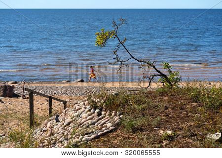 A Girl Runs Along The Shore Along The Sea Against The Background Of Dunes And Stones Of The Baltic S
