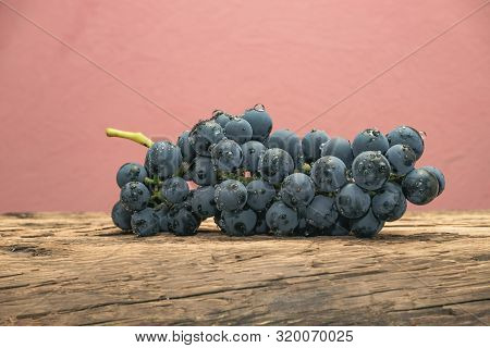 Beautiful Wine Kadarka Grapes On A Old Oak Wooden Table And Red Wall Background.