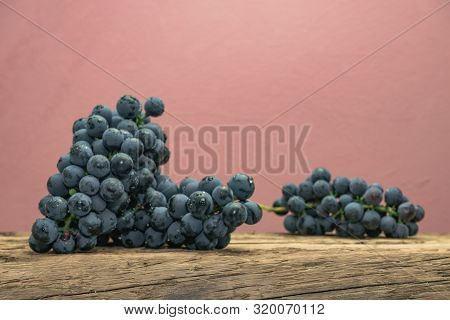 Beautiful Wine Kadarka Grapes On A Old Oak Wooden Table And Red Wall Background.