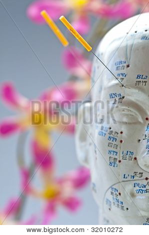 Modelo de cabeza de acupuntura